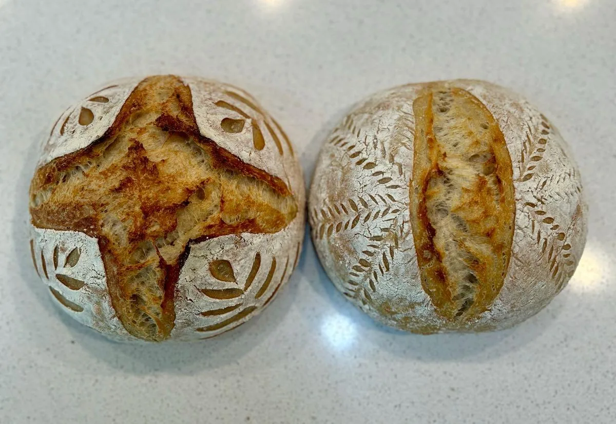 Two hand-scored artisan sourdough boules fresh from the oven